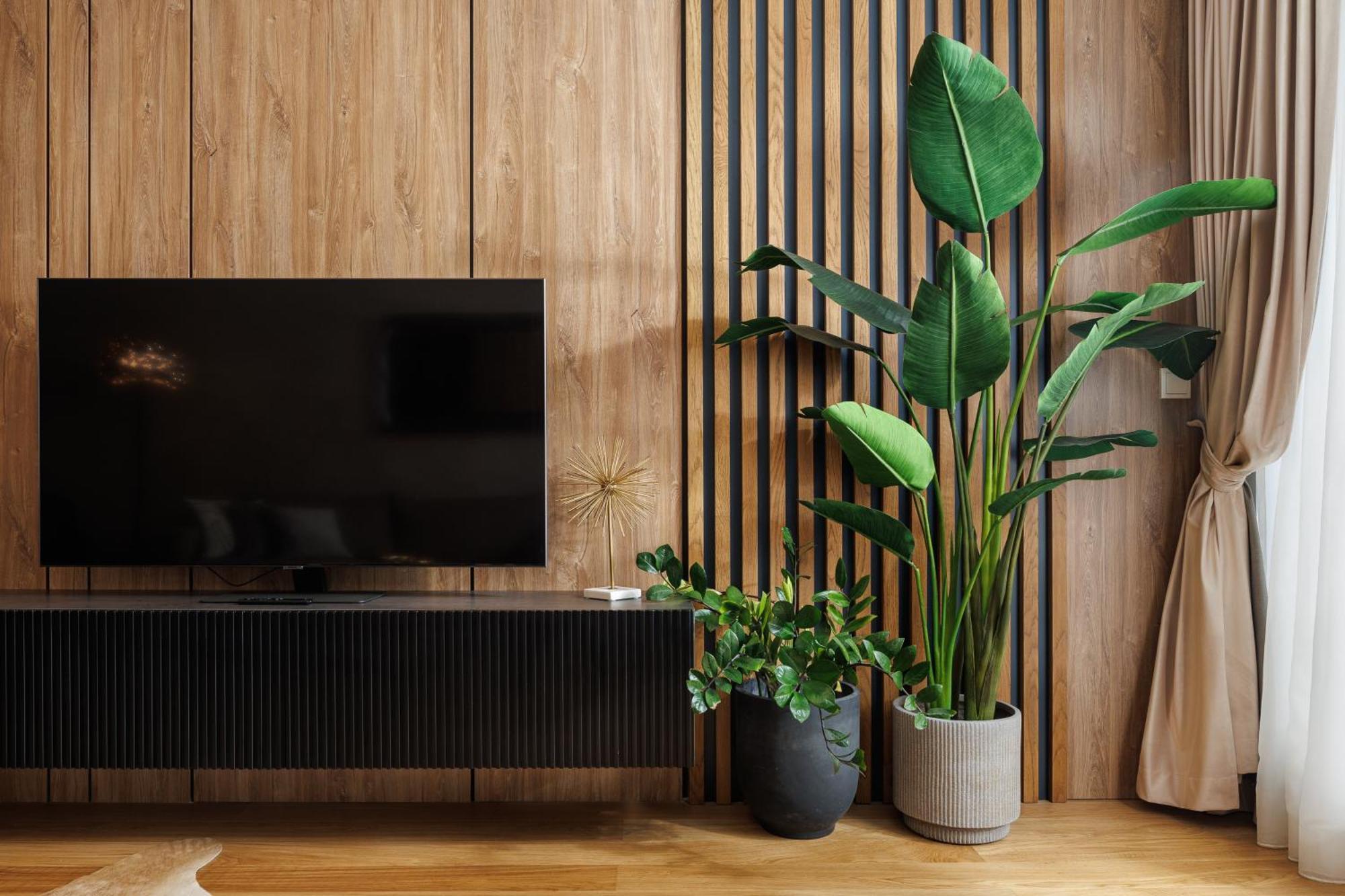 Pure Living Apartment W. Private Parking Брашов Экстерьер фото